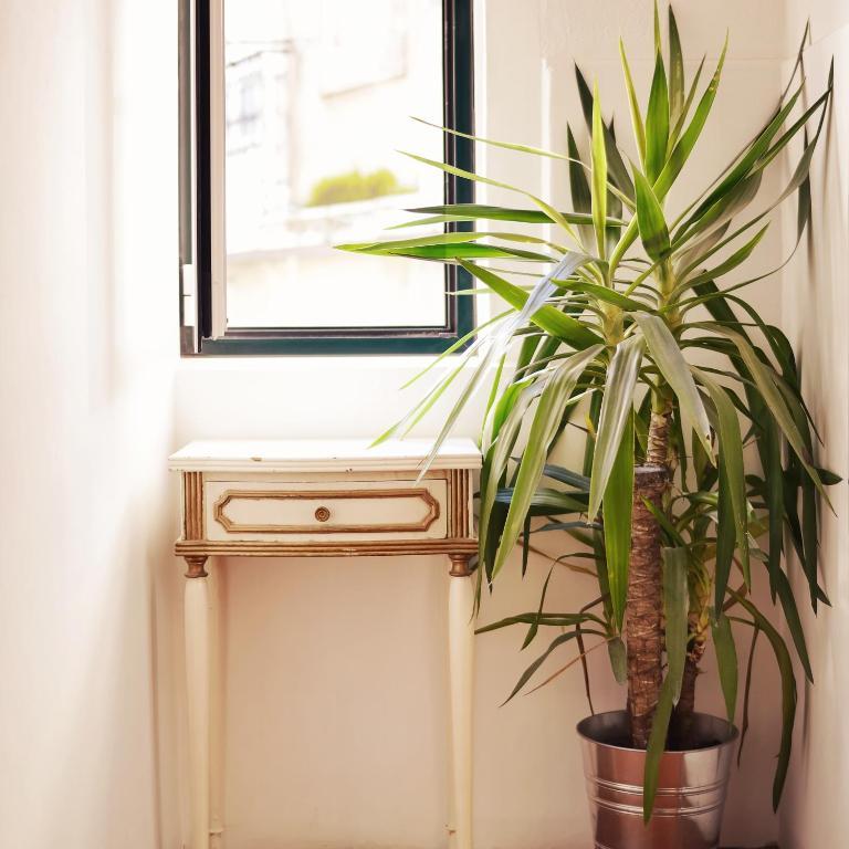 Lisbon Story Guesthouse Dış mekan fotoğraf